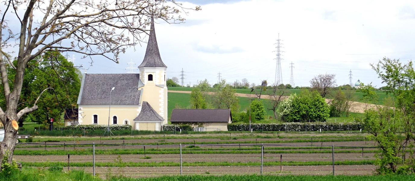 Ein Blick auf den Kirchenacker, im Hintergrund die namensgebende Johanneskirche