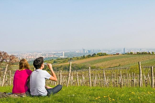 Weingarten Wailand: Paar sitzt im Gras mit Blick über Wien