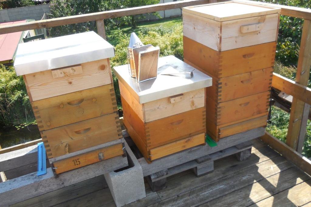 Bienenstöcke und imkerliches Werkzeug