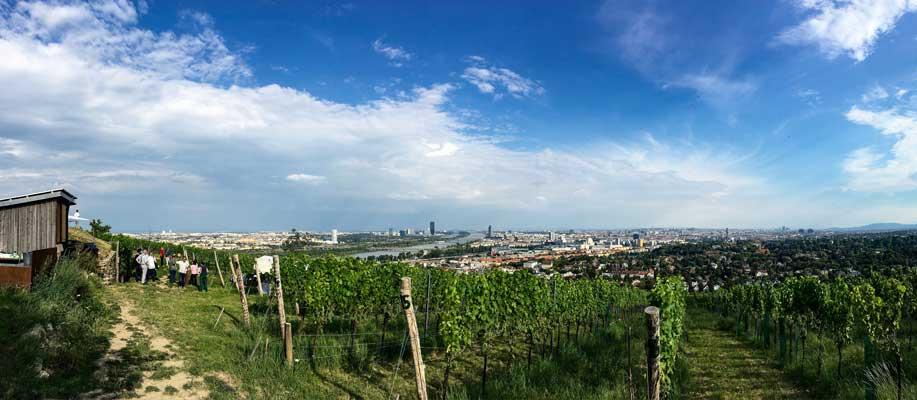 Ausblick Buschenschank