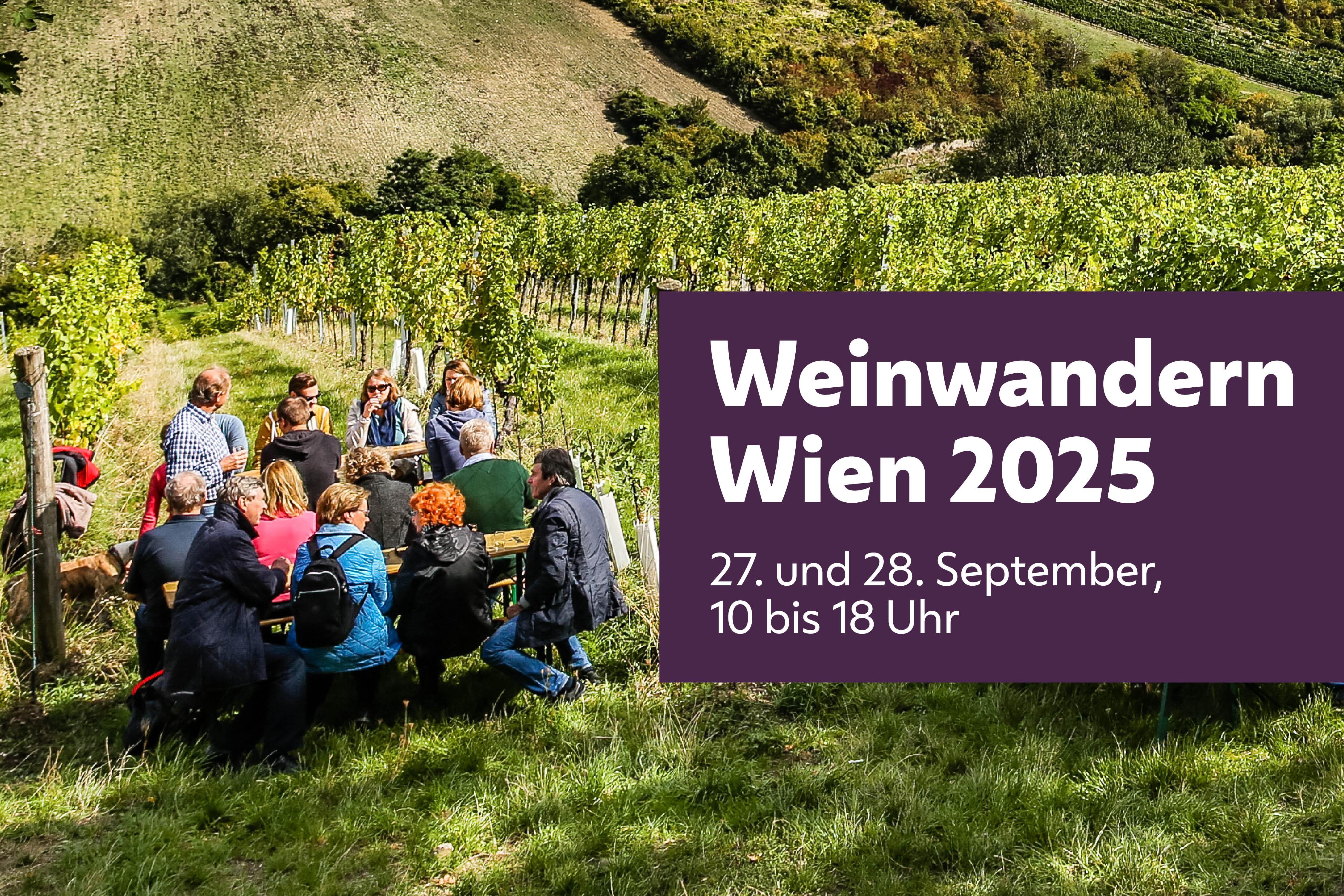 Weingarten mit Menschen