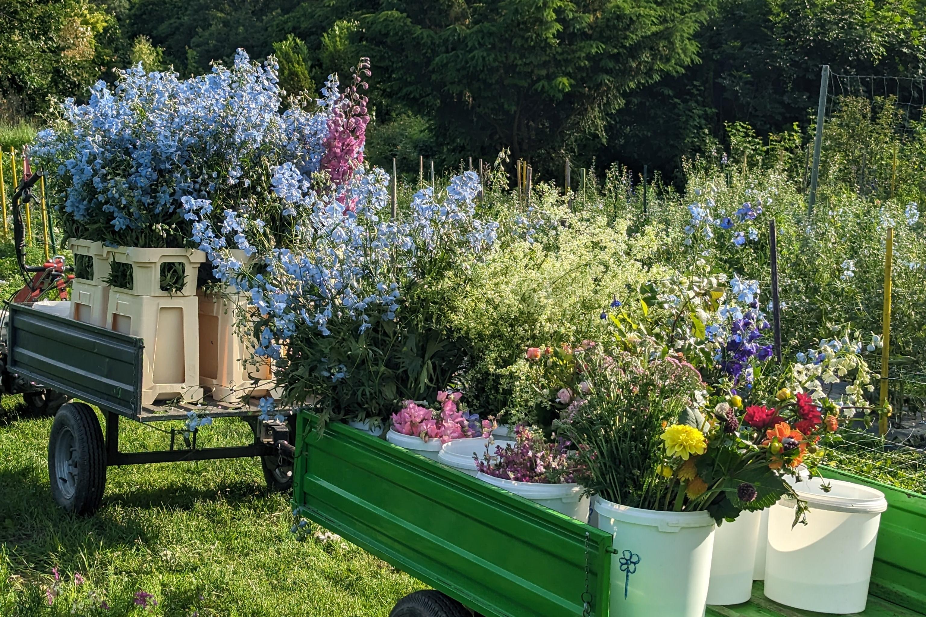 Wagen mit Blumen