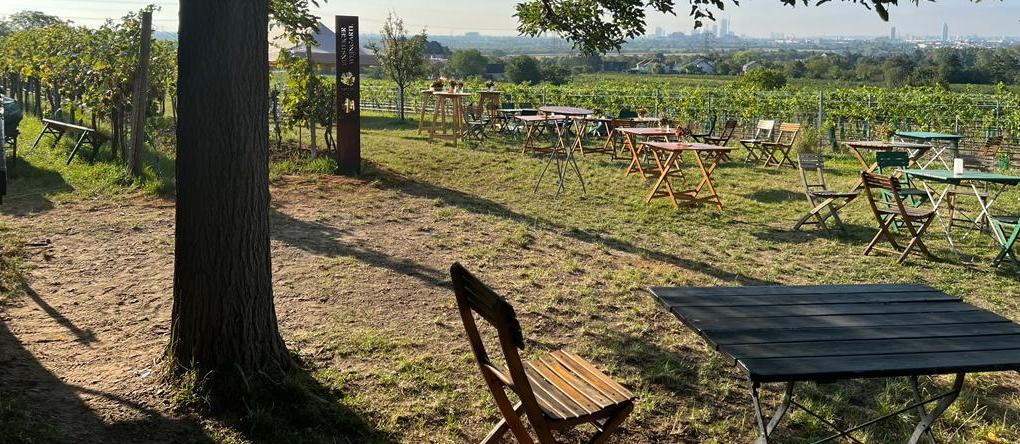 Blick auf unseren Gastgarten mit Blick auf Wien