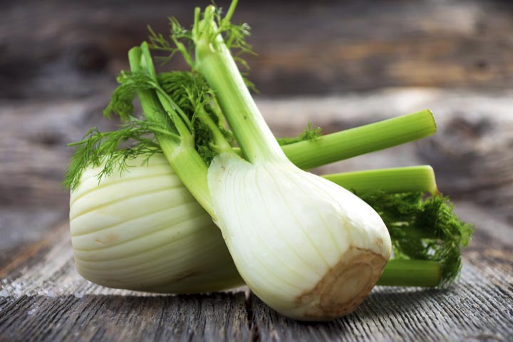 Fenchel