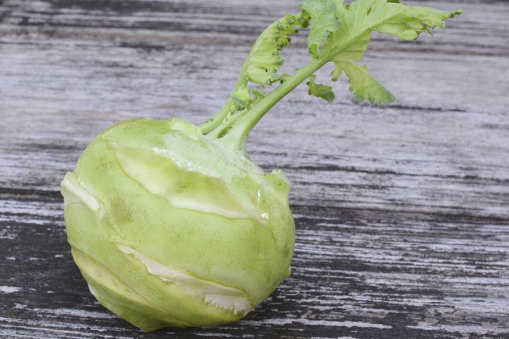 Kohlrabi