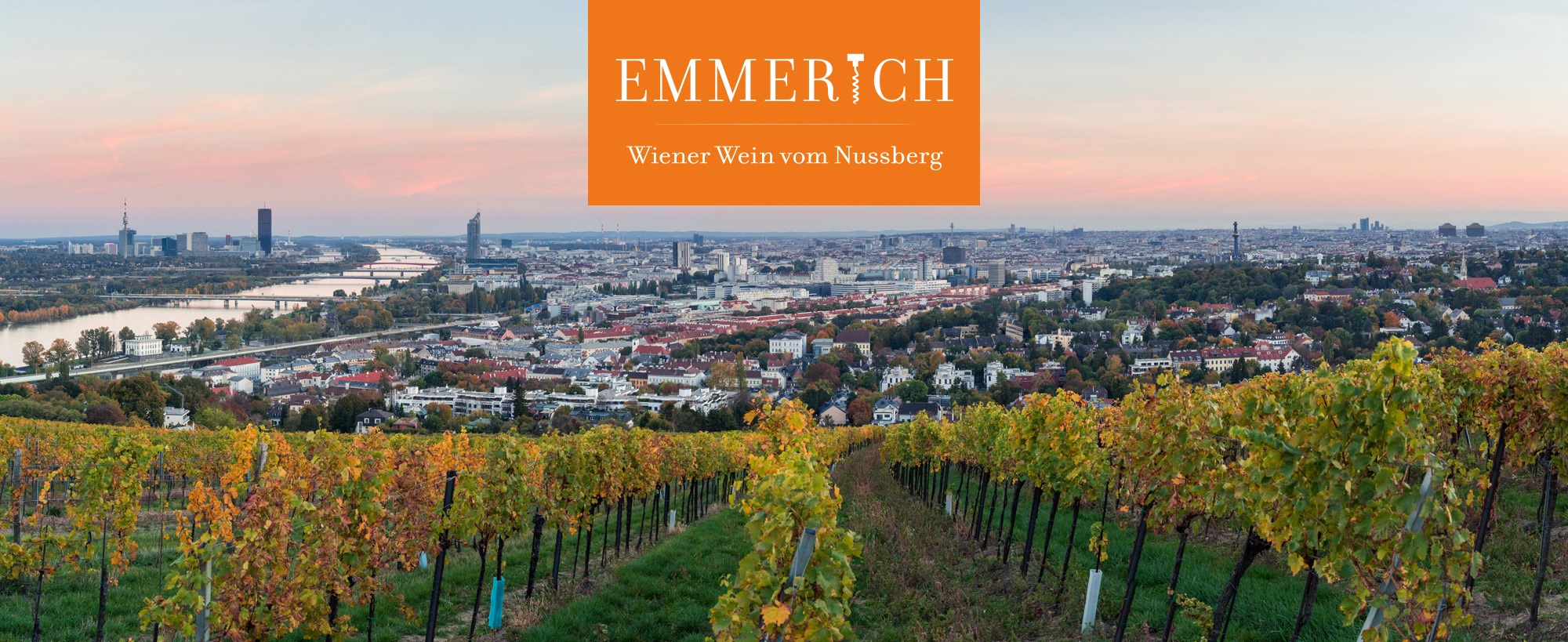 Blick vom EMMERICH über Wien